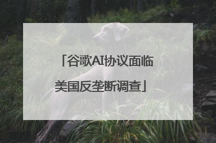 谷歌AI协议面临美国反垄断调查