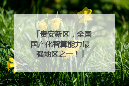 贵安新区，全国国产化智算能力最强地区之一！