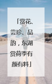 赏花、尝珍、品韵，东湖赏荷季有颜有料