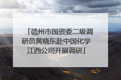 赣州市国资委二级调研员黄晓东赴中国化学江西公司开展调研