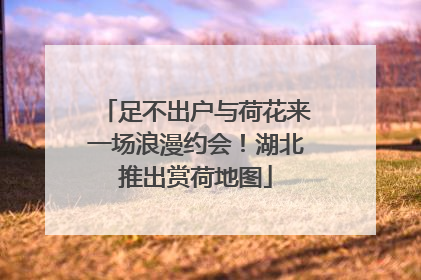 足不出户与荷花来一场浪漫约会！湖北推出赏荷地图