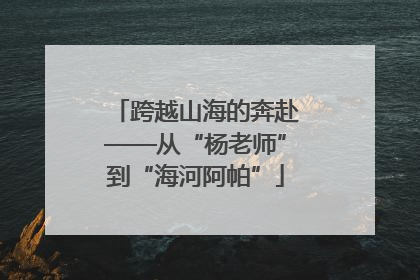 跨越山海的奔赴——从“杨老师”到“海河阿帕”