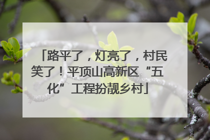 路平了，灯亮了，村民笑了！平顶山高新区“五化”工程扮靓乡村