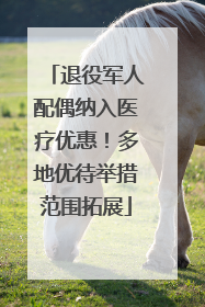 退役军人配偶纳入医疗优惠！多地优待举措范围拓展