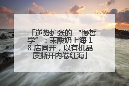 逆势扩张的 “慢哲学”：茉酸奶上海 18 店同开，以有机品质撕开内卷红海