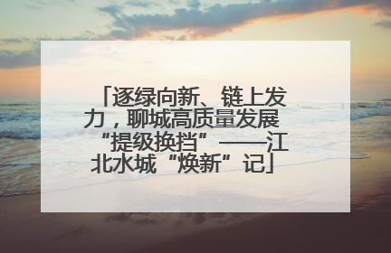 逐绿向新、链上发力，聊城高质量发展“提级换挡”——江北水城“焕新”记