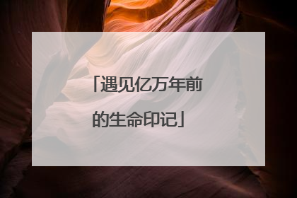 遇见亿万年前的生命印记