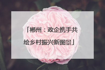 郴州：政企携手共绘乡村振兴新图景