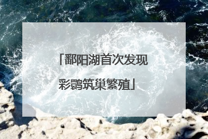 鄱阳湖首次发现彩鹮筑巢繁殖