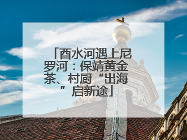 酉水河遇上尼罗河：保靖黄金茶、村厨“出海”启新途