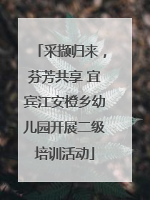 采撷归来，芬芳共享 宜宾江安橙乡幼儿园开展二级培训活动