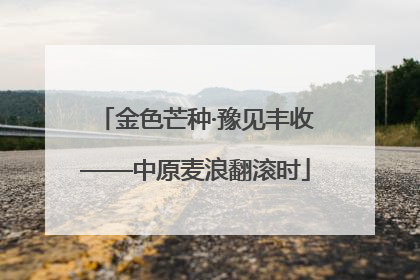 金色芒种·豫见丰收——中原麦浪翻滚时