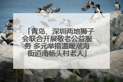 青岛、深圳两地狮子会联合开展敬老公益服务 多元举措温暖潮海街道南杨头村老人