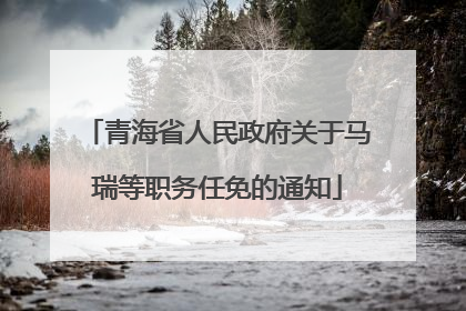 青海省人民政府关于马瑞等职务任免的通知