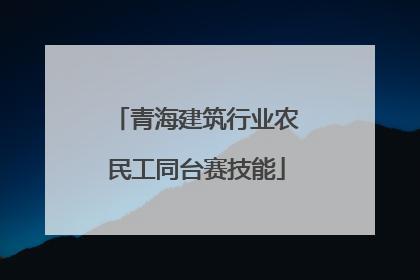 青海建筑行业农民工同台赛技能