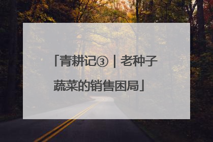 青耕记③｜老种子蔬菜的销售困局