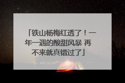 铁山杨梅红透了！一年一遇的酸甜风暴 再不来就真错过了