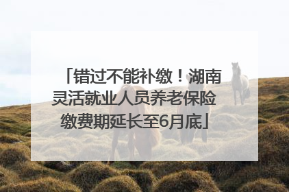 错过不能补缴！湖南灵活就业人员养老保险缴费期延长至6月底