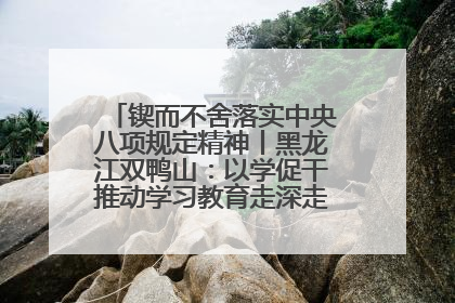 锲而不舍落实中央八项规定精神丨黑龙江双鸭山：以学促干推动学习教育走深走实 从小事入手写好“民生答卷”