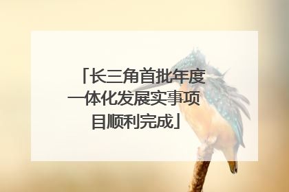 长三角首批年度一体化发展实事项目顺利完成