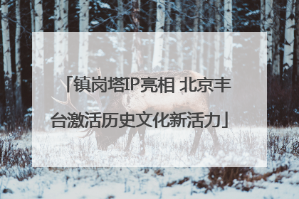 镇岗塔IP亮相 北京丰台激活历史文化新活力
