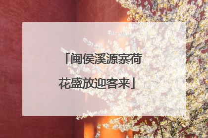 闽侯溪源寨荷花盛放迎客来