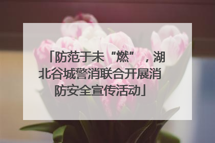 防范于未“燃”，湖北谷城警消联合开展消防安全宣传活动