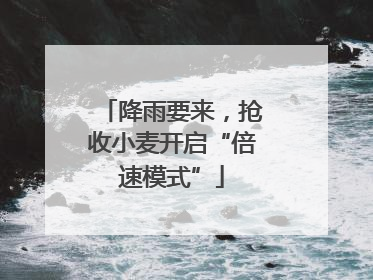 降雨要来，抢收小麦开启“倍速模式”