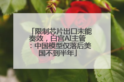 限制芯片出口未能奏效，白宫AI主管：中国模型仅落后美国不到半年