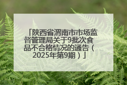 陕西省渭南市市场监督管理局关于9批次食品不合格情况的通告（2025年第9期）
