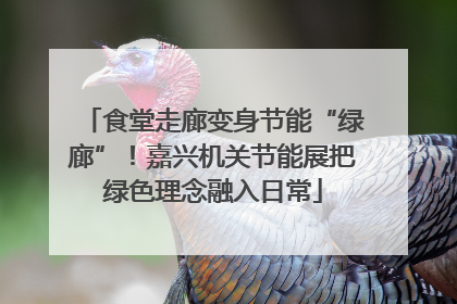 食堂走廊变身节能“绿廊”！嘉兴机关节能展把绿色理念融入日常