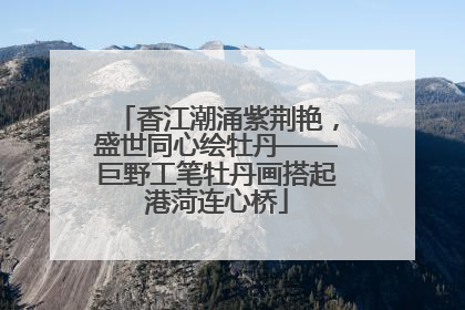 香江潮涌紫荆艳，盛世同心绘牡丹——巨野工笔牡丹画搭起港菏连心桥