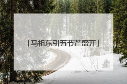 马祖东引五节芒盛开