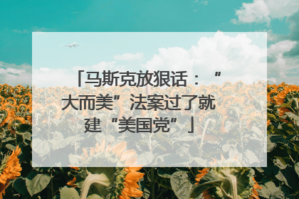 马斯克放狠话：“大而美”法案过了就建“美国党”
