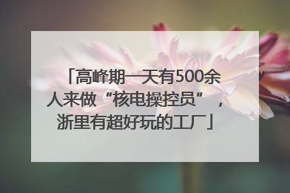 高峰期一天有500余人来做“核电操控员”，浙里有超好玩的工厂