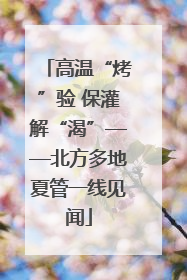 高温“烤”验 保灌解“渴”——北方多地夏管一线见闻