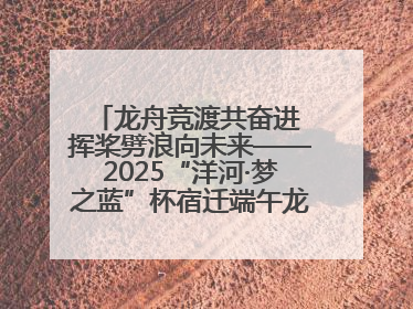 龙舟竞渡共奋进 挥桨劈浪向未来——2025“洋河·梦之蓝”杯宿迁端午龙舟赛侧记