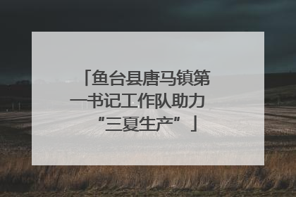 鱼台县唐马镇第一书记工作队助力“三夏生产”