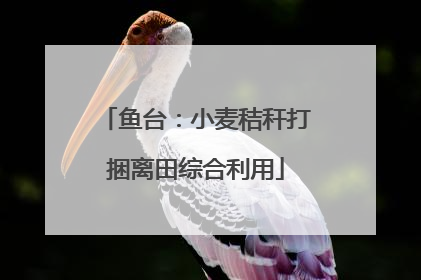 鱼台：小麦秸秆打捆离田综合利用