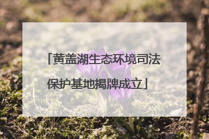 黄盖湖生态环境司法保护基地揭牌成立