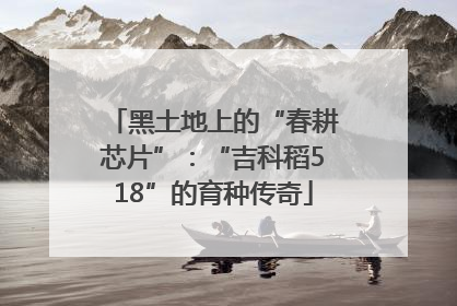 黑土地上的“春耕芯片”：“吉科稻518”的育种传奇