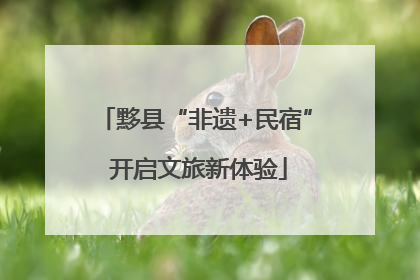 黟县“非遗+民宿” 开启文旅新体验