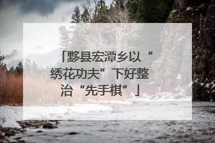 黟县宏潭乡以“绣花功夫”下好整治“先手棋”