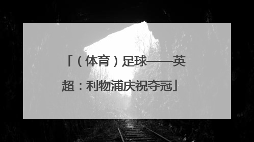 （体育）足球——英超：利物浦庆祝夺冠