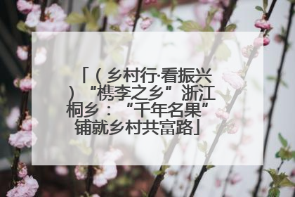 （乡村行·看振兴）“槜李之乡”浙江桐乡：“千年名果”铺就乡村共富路