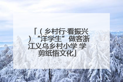 （乡村行·看振兴）“洋学生”做客浙江义乌乡村小学 学剪纸悟文化