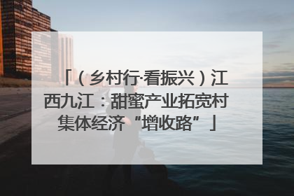 （乡村行·看振兴）江西九江：甜蜜产业拓宽村集体经济“增收路”