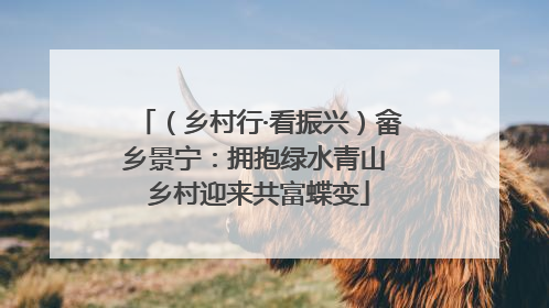 （乡村行·看振兴）畲乡景宁：拥抱绿水青山 乡村迎来共富蝶变