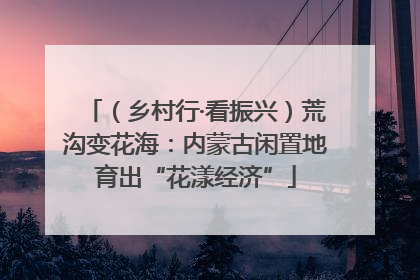 （乡村行·看振兴）荒沟变花海：内蒙古闲置地育出“花漾经济”