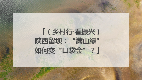 （乡村行·看振兴）陕西留坝：“满山绿”如何变“口袋金”？